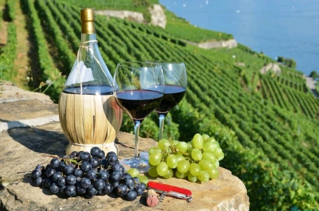 Винодельческие регионы Франции – куда отправиться в гастротур? 